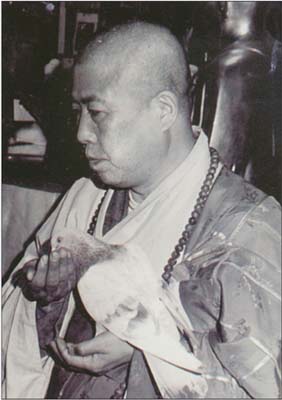 ŤƦѩM|lM - ӤEIn Memory of the Venerable Master Hsuan Huan - Photographs